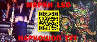 кокс Донской