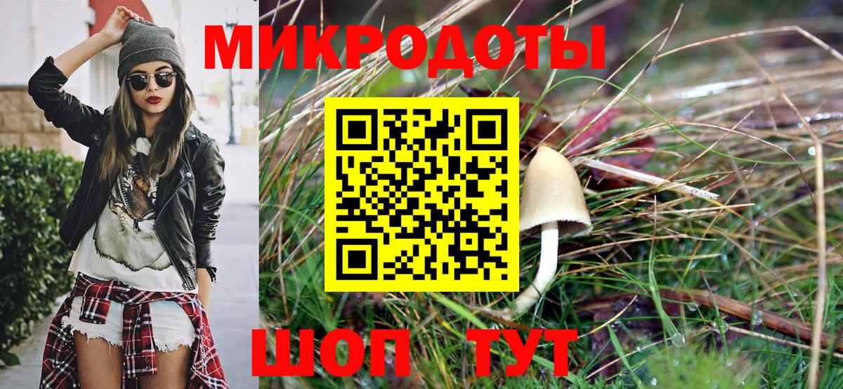Галлюциногенные грибы мухоморы  как найти закладки  Зеленодольск  Вход с VPN 