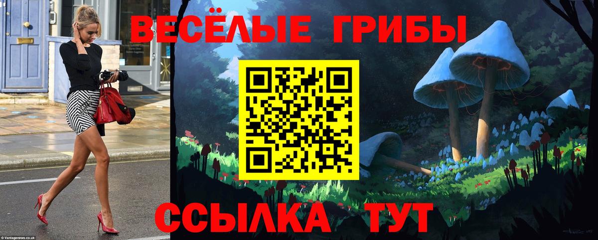 Псилоцибиновые грибы мухоморы Зеленодольск